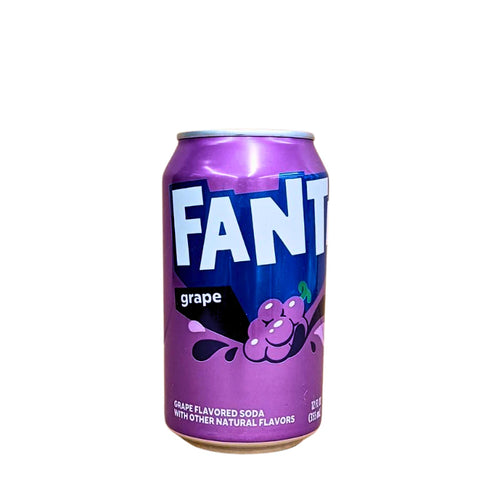 USA Fanta Grape 355ml Dose 24er Pack mhd 2026