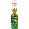 Hatakosen Ramune Apple 200ml 30er Pack