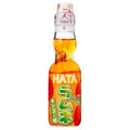 Hatakosen Ramune Mango 200ml 30er Pack